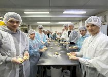 СОШ 4 Островская Хлебокомбинат